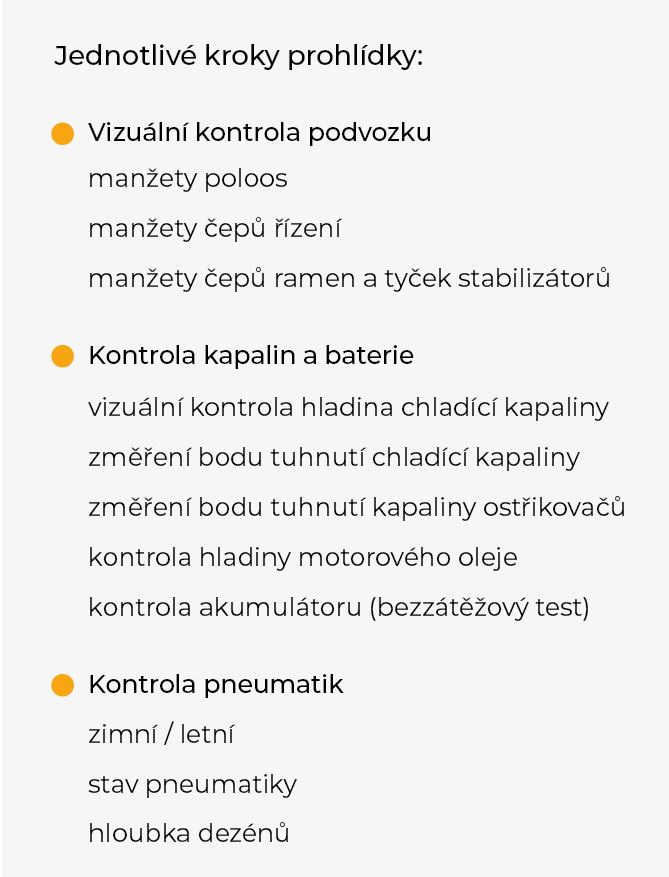 Kroky prohlídky
